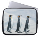 Search for penguin laptop cases Nature