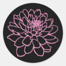 Search for chrysanthemums stickers Nature