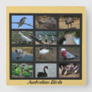 Search for australian bird clocks Cockatoo
