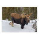 Search for moose art cards Snow