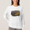 Search for zabriskie tshirts North america