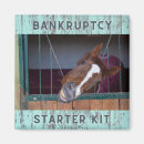 Search for equine magnets Equestrian