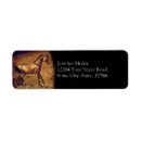 Search for jumper return address labels Dressage