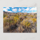 Search for limestone county California