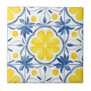 Search for coastal tiles Backsplash