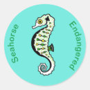 Search for seahorse stickers Hippocampus