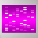 Search for genetics genes posters Science