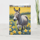 Search for donkeys cards Mule
