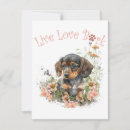 Search for dachshund note cards Puppy