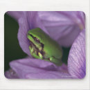 Search for tree frog mousepads Nature