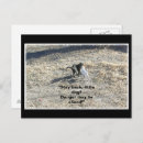 Search for little cats postcards Pets