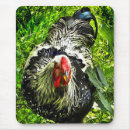 Search for rooster mousepads Animals