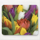 Search for north mousepads Europe