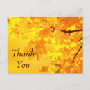 Search for natural wood cards Nature