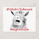 Search for choosing postcards Humour