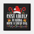 Search for stray magnets Merry christmas