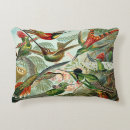 Search for hummingbird cushions Artistic