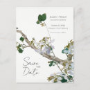 Search for american beauty postcards For her