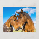 Search for two for two postcards Farm