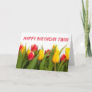 Search for tulip time cards Photography