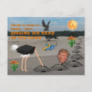 Search for head in sand postcards Ostrich
