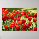 Search for large red posters Birthday