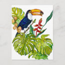 Search for colourful bird art postcards Toucan