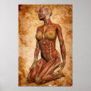 Search for female anatomy posters Muscular