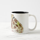 Search for square head mugs Animal body part