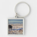Search for looking front key rings Rural scene