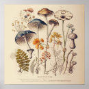 Search for naturalist posters Nature