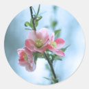 Search for spring tree stickers Apple