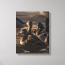 Search for duck flock art Nature