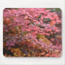 Search for fall foliage mousepads Red