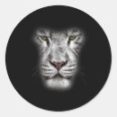 Search for crazy face stickers Cat