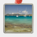Search for snorkel christmas tree decorations Tropical