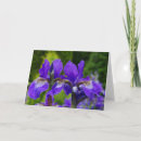 Search for irie photography Floral