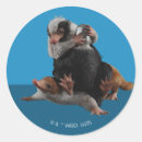 Search for fantastic beast stickers Baby niffler
