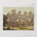 Search for the tribe postcards White