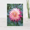 Search for spiky Pink