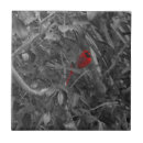 Search for cardinal tiles Nature