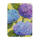 Search for floral rectangular magnets Hydrangeas