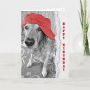 Search for red cap cards Dog