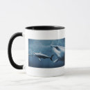 Search for aggressive mugs Sealife