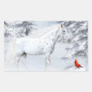 Search for appaloosa stickers Snow