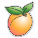 Search for apricot stickers Illustration