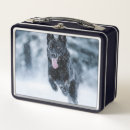Search for wolf lunch boxes Dog