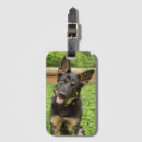 Search for shepherd travel accessories Pet