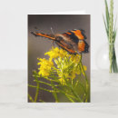 Search for tortoiseshell cards Thinking of you