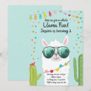 Search for llama birthday Alpaca